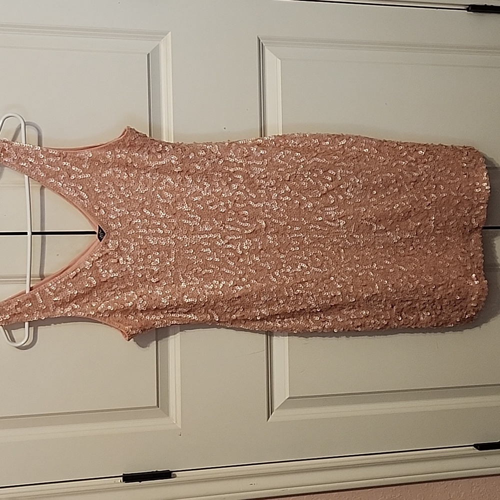 NWT Pretty Guide Pink Sequined Dresss XL